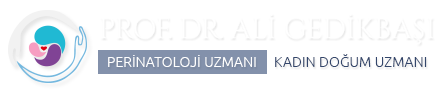 Prof. Dr. Ali Gedikbaşı
