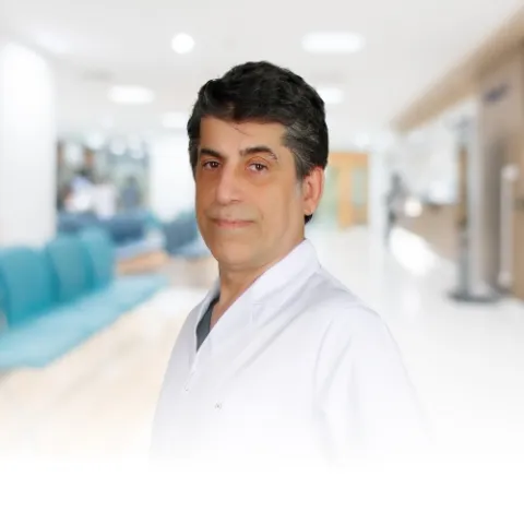 Prof. Dr. Ali Okur