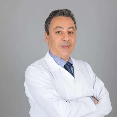 Prof. Dr. Ayhan Özkur