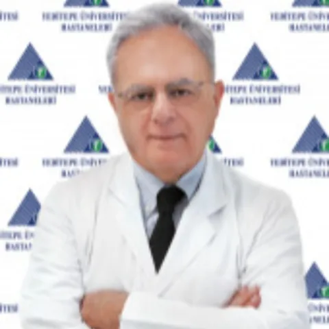 Prof. Dr. Haluk Aydın
