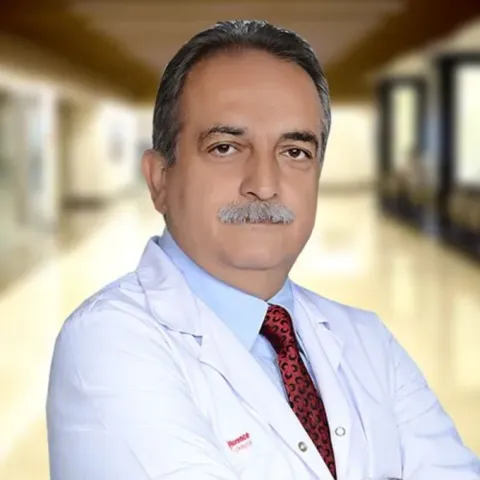 Prof. Dr. Murat İmer