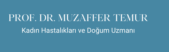Prof. Dr. Muzaffer Temur