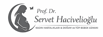 Prof. Dr. Servet Ozden Hacivelioglu