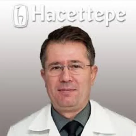 Prof. Dr. Taylan Kav